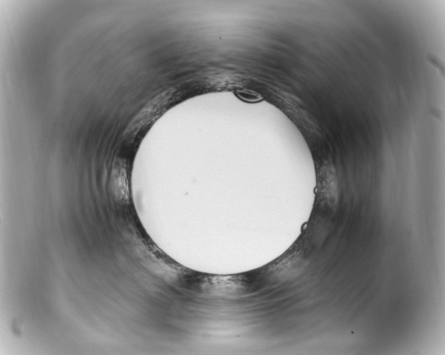 X0000099400622200805291211