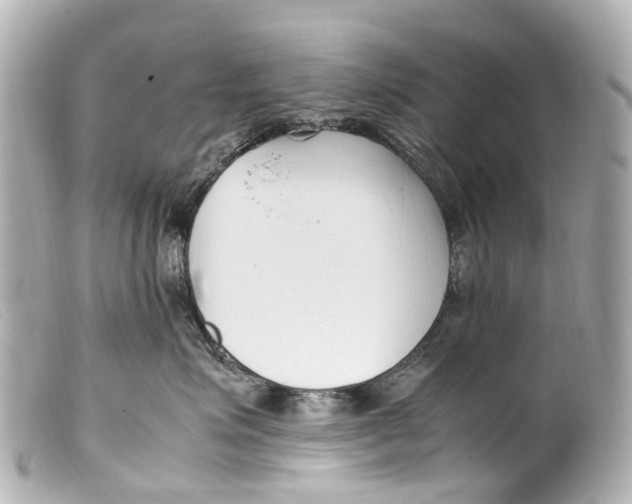 X0000099400623200805291211