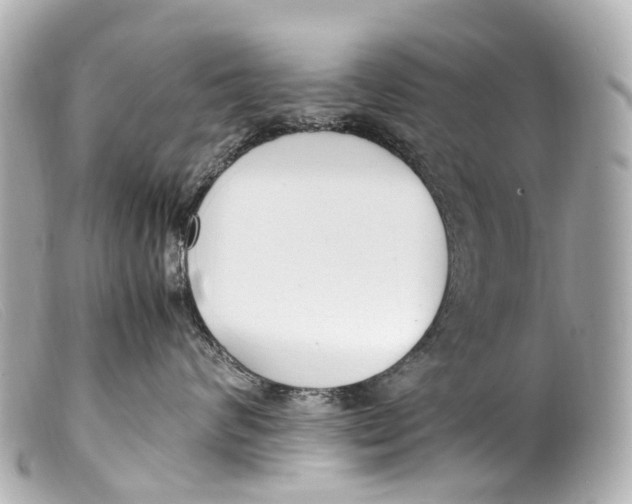 X0000099400624200805291211