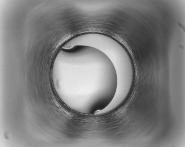 X0000099400625200805291211