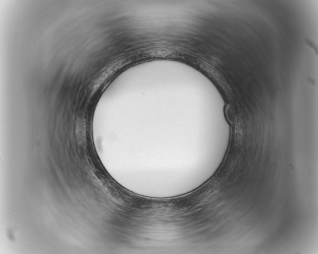 X0000099400626200805291211