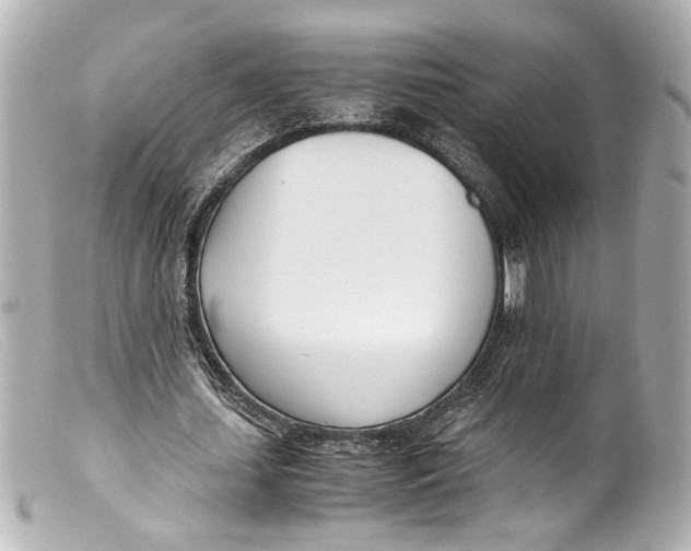 X0000099400627200805291211