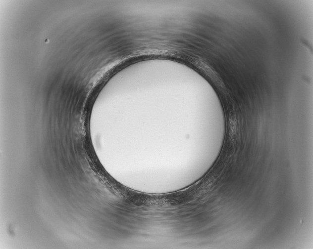 X0000099400628200805291211