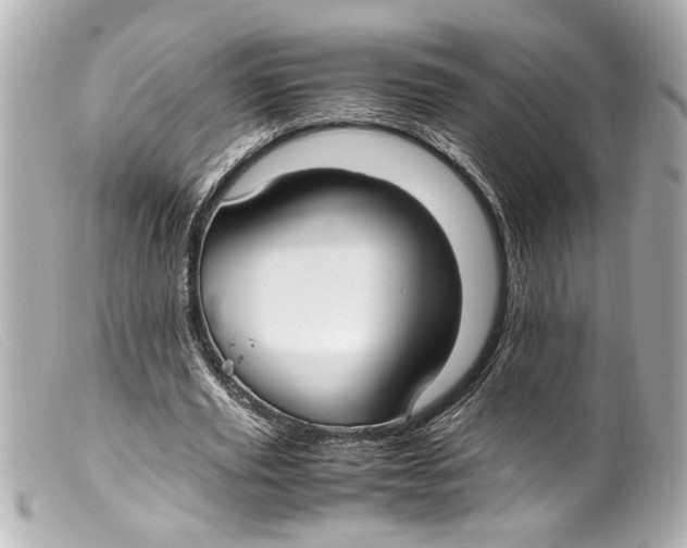 X0000099400629200805291211