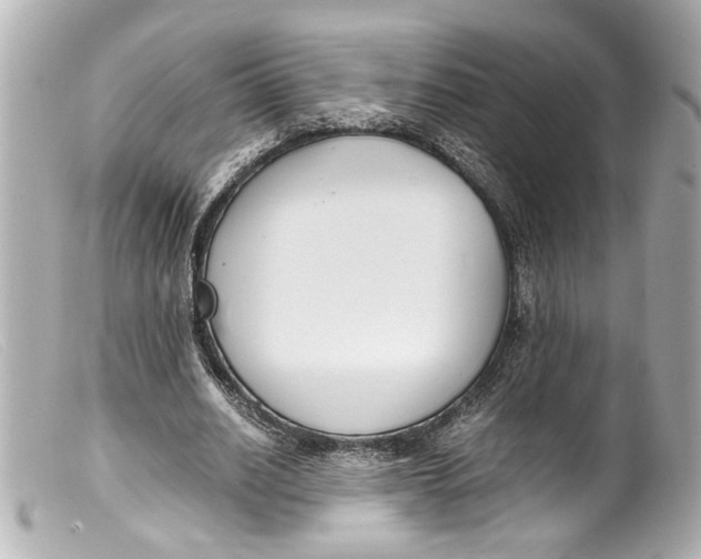 X0000099400630200805291211