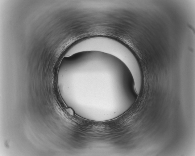 X0000099400631200805291211