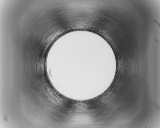 X0000099400632200805291211