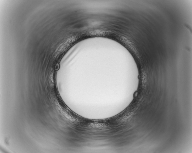 X0000099400633200805291211