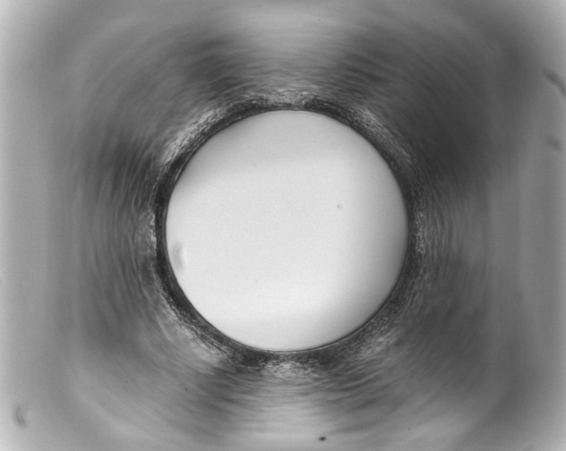 X0000099400634200805291211