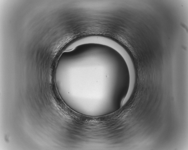 X0000099400635200805291211