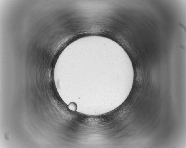 X0000099400636200805291211