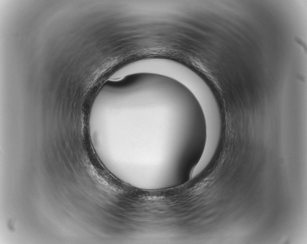 X0000099400637200805291211