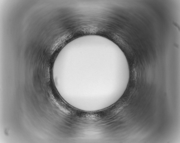 X0000099400638200805291211