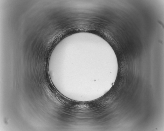 X0000099400639200805291211