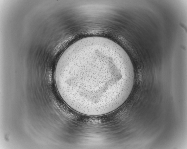 X0000099400640200805291211