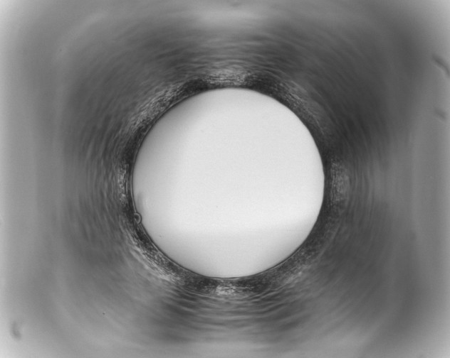 X0000099400641200805291211