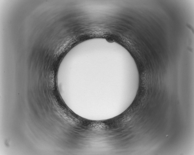 X0000099400642200805291211