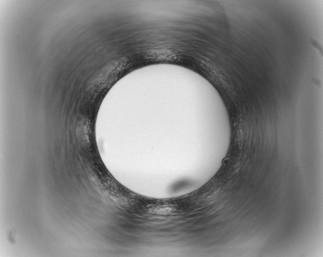 X0000099400643200805291211