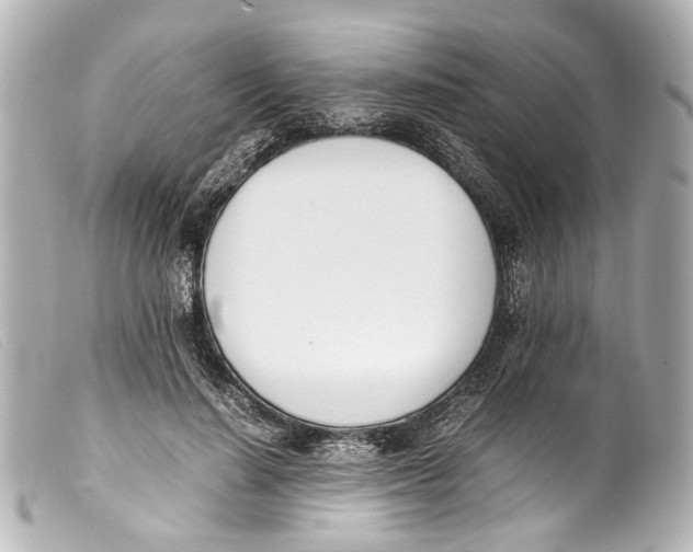 X0000099400644200805291211