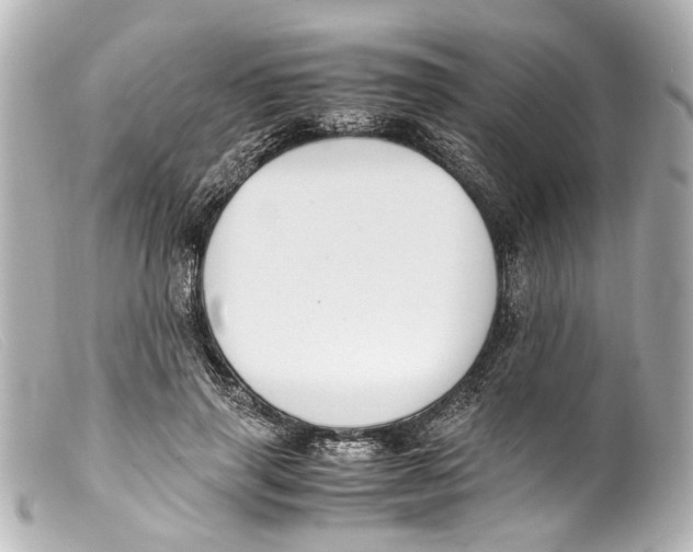 X0000099400645200805291211