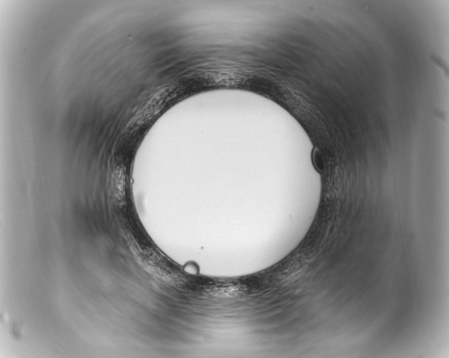 X0000099400646200805291211