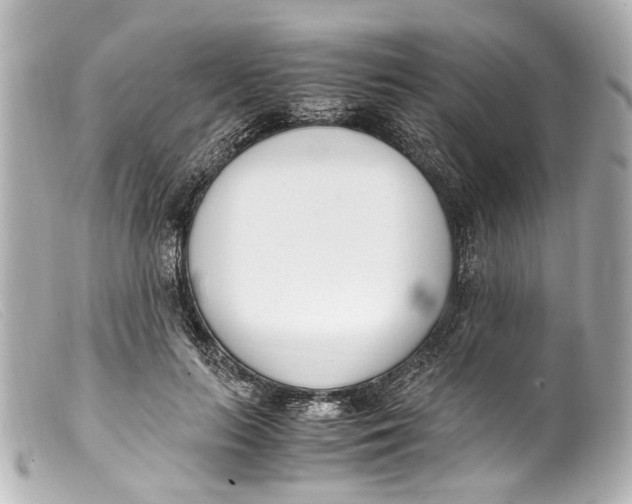 X0000099400647200805291211