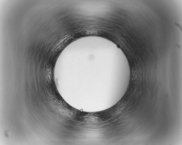 X0000099400648200805291211