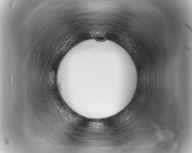 X0000099400649200805291211