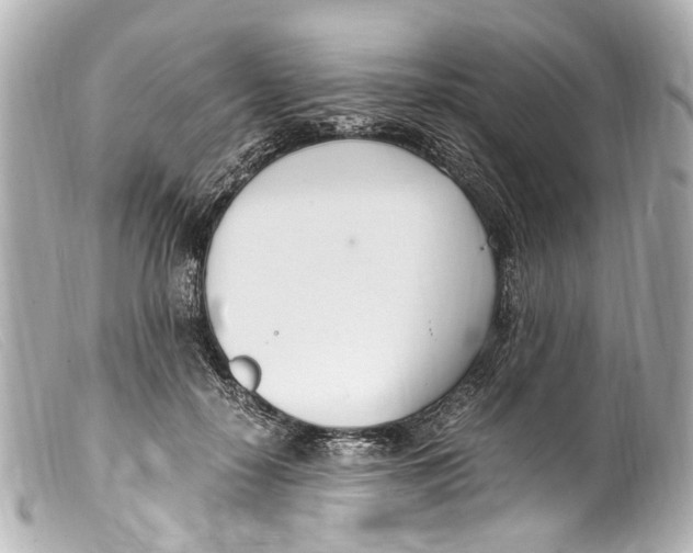 X0000099400650200805291211