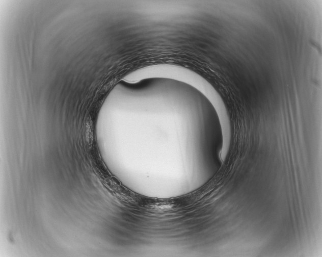 X0000099400651200805291211