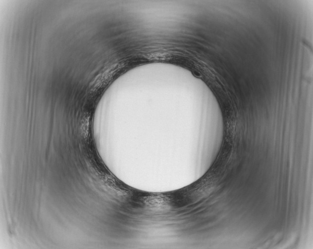 X0000099400652200805291211