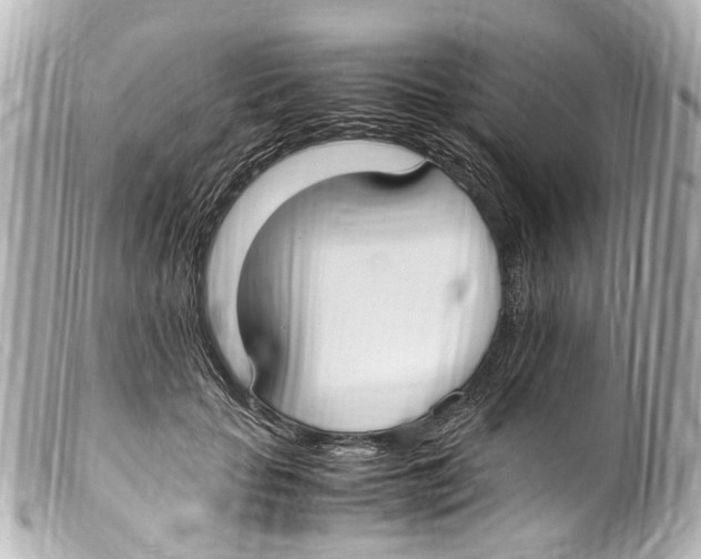 X0000099400653200805291211