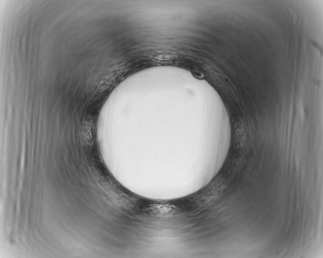 X0000099400654200805291211