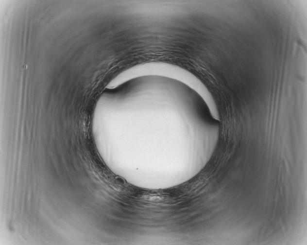 X0000099400655200805291211