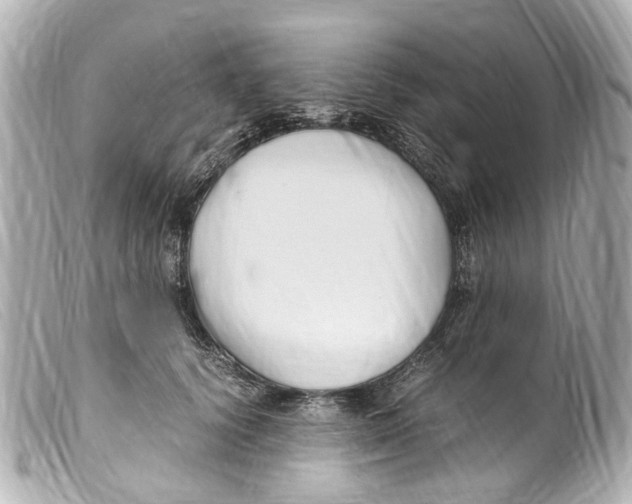 X0000099400656200805291211