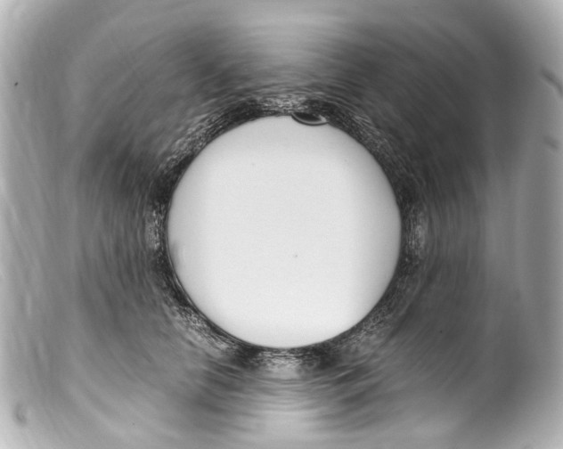 X0000099400658200805291211