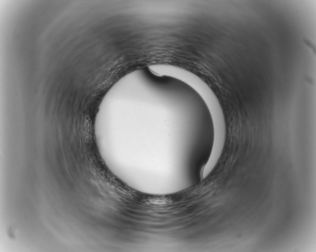 X0000099400659200805291211