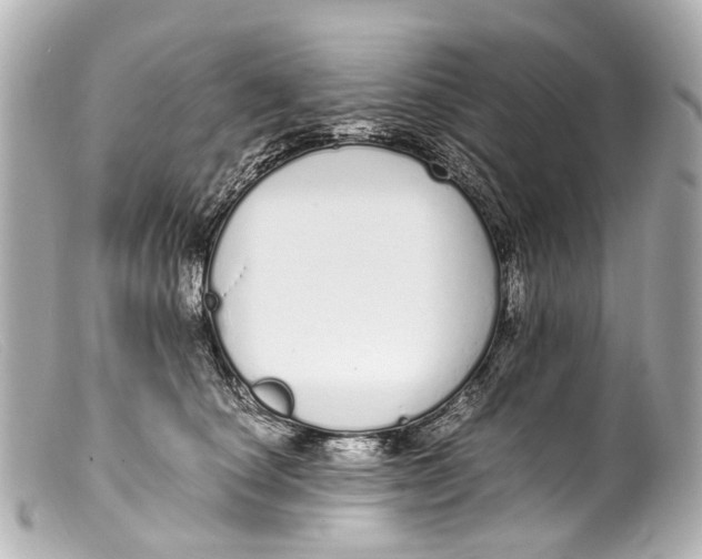 X0000099400660200805291211