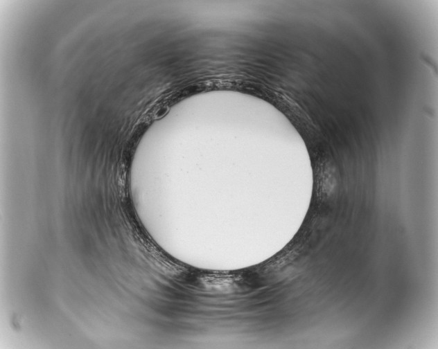 X0000099400661200805291211