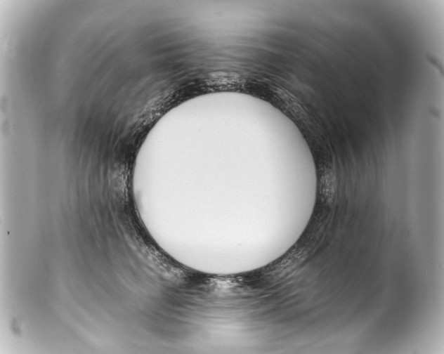 X0000099400662200805291211