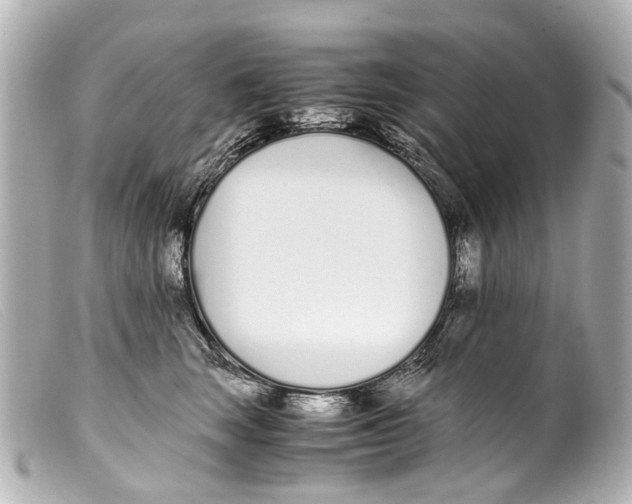 X0000099400663200805291211