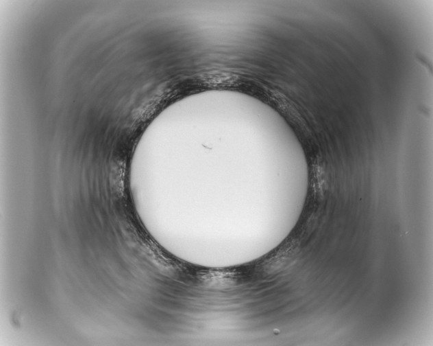 X0000099400664200805291211