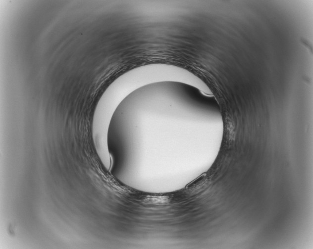 X0000099400665200805291211