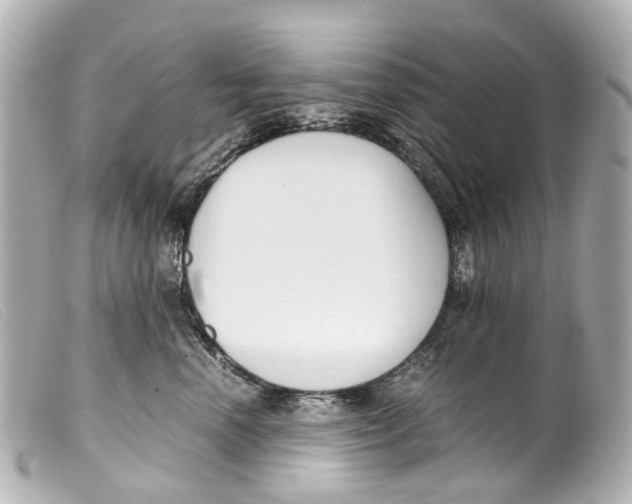 X0000099400666200805291211