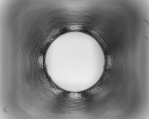 X0000099400667200805291211