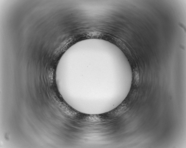 X0000099400668200805291211