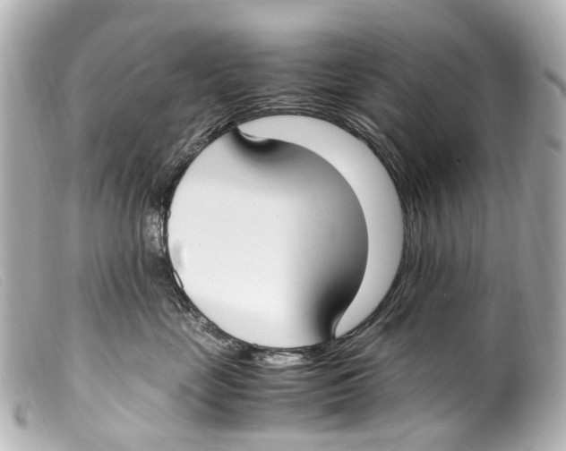 X0000099400669200805291211