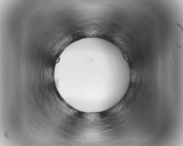 X0000099400670200805291211