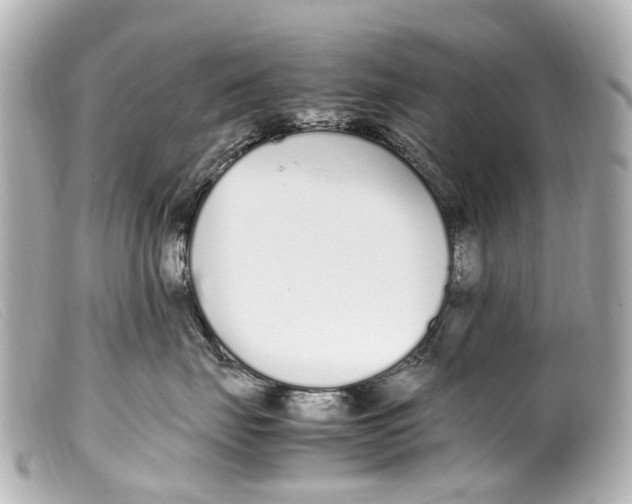 X0000099400671200805291211