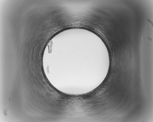 X0000099400673200805291211